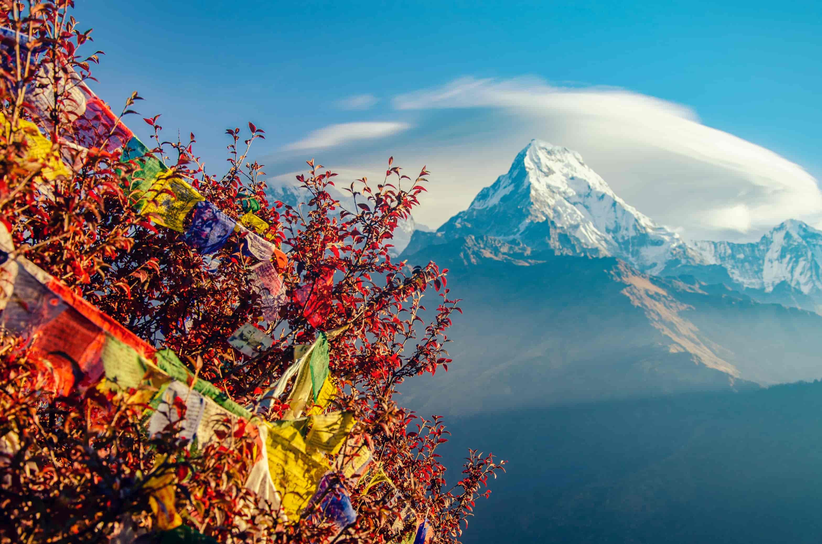 TRIP TO NEPAL 7HEAVEN