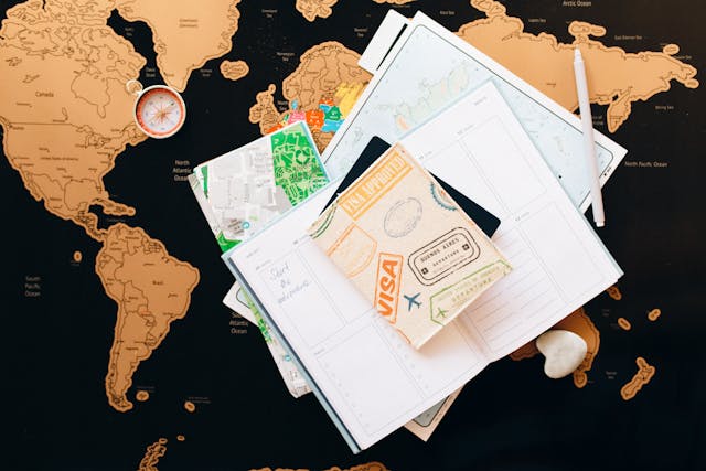 VISA SERVICE UNDER BUDGET